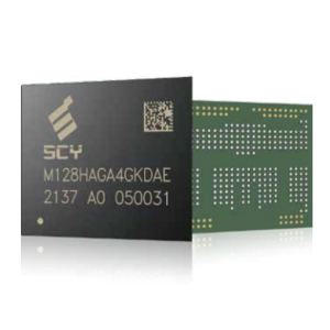 Masgarti-eMCP (Embedded Multi-Chip Package)