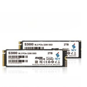 Masgarti-S3000 PCIe 3.0 x4 NVMe SSD